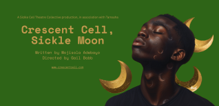 Review: Crescent Cell, Sickle Moon at Brady Arts & Community Centre ★★★★★